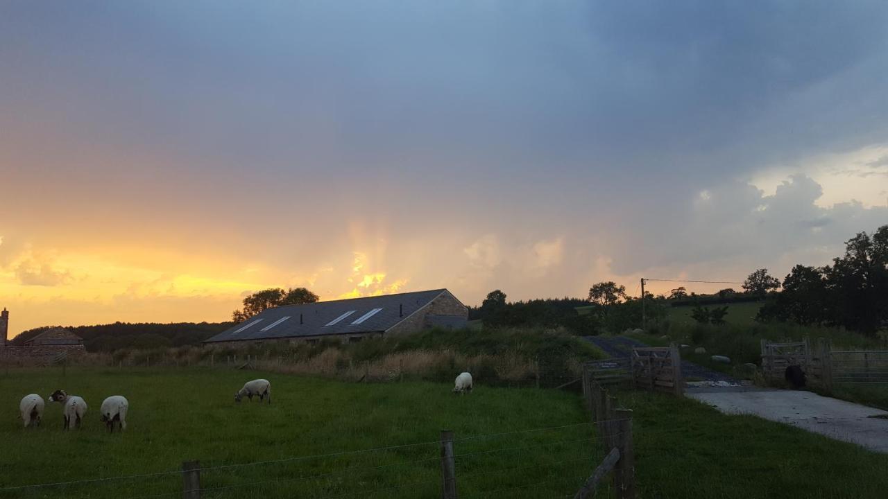Keld Barn, Low Ploughlands Holiday Lets カークビー・ステファン エクステリア 写真